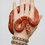 Noor Polki Diamond & Ruby Bangle Set