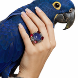 Baavri Ruby & Diamond Statement Ring